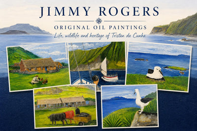 Orginal Oil Canvas Paintings