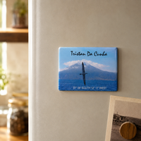 Yellow-Nosed Albatross Fridge Magnet