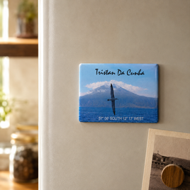 Yellow-Nosed Albatross Fridge Magnet