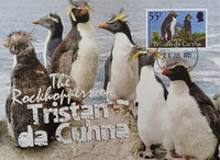 Tristan da Cunha Maxi card - Set of 6