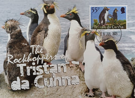 Tristan da Cunha Maxi card - Set of 6