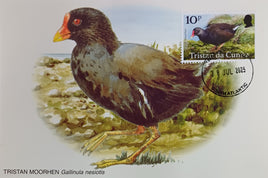 Maxi card - Tristan & Gough Moorhen