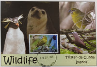 Tristan da Cunha Maxi card - Set of 6