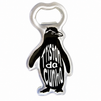 Fridge Magnet Bottle Opener