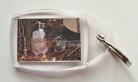 Picture Key Ring