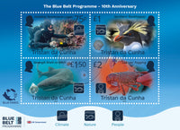 Blue Belt Programme: 10th Anniversary