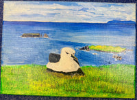Original Canvas Oil Paintings
