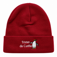 Rockhopper Penguin Beanie Hat