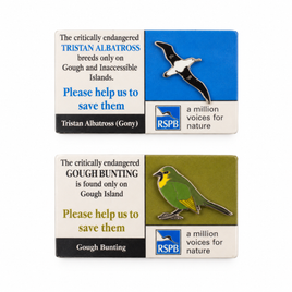 Small RSPB Pin Badges