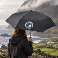 Foldable Umbrella