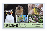 Tristan da Cunha Maxi card - Set of 6
