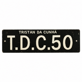 Handmade License Plate