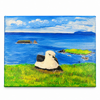 Original Canvas Oil Paintings