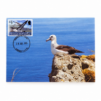 Tristan da Cunha Maxi card - Set of 6