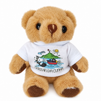 Teddy Bear in Tristan T-shirt