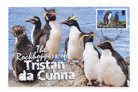 Tristan da Cunha Maxi card - Set of 6