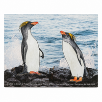 Splash The Rockhopper Colouring Book