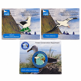 Large RSPB Wildlife Pin Badge