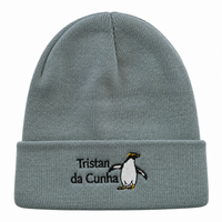 Rockhopper Penguin Beanie Hat
