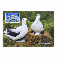Tristan da Cunha Maxi card - Set of 6