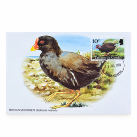 Maxi card - Tristan & Gough Moorhen