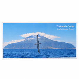 Tristan da Cunha and Albatross