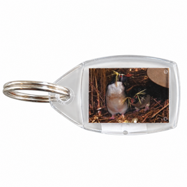 Rockhopper Penguin Keyring