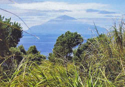 Tristan da Cunha in the near distance from Nightingale Island Postcard ( Pack of 3 )