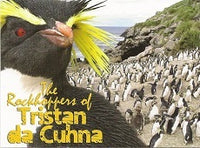 Maxi card - Rockhopper Penguins