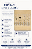 Shot Glasses