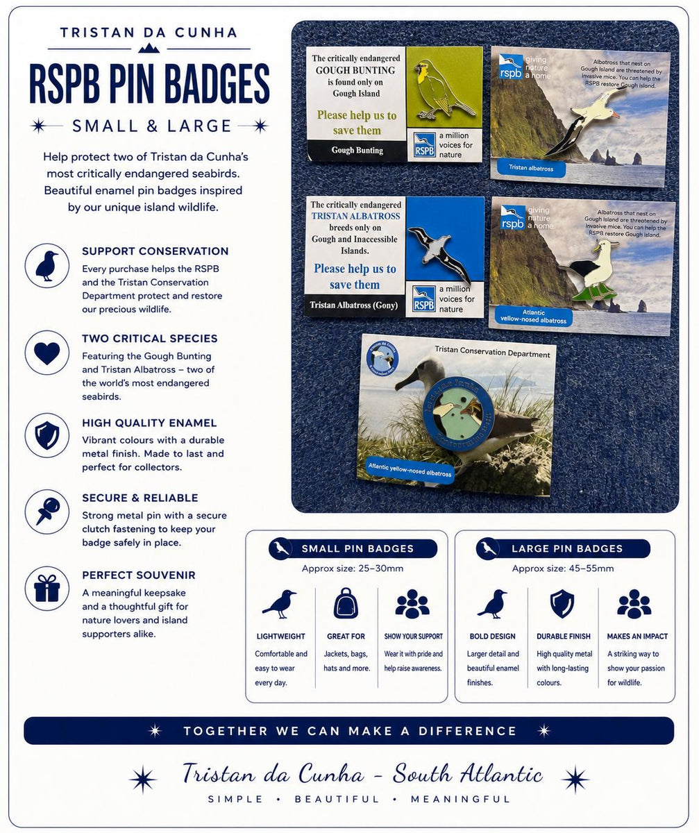 Rspb Razorbill Pin Small RSPB Pin Badges| tristandacunha